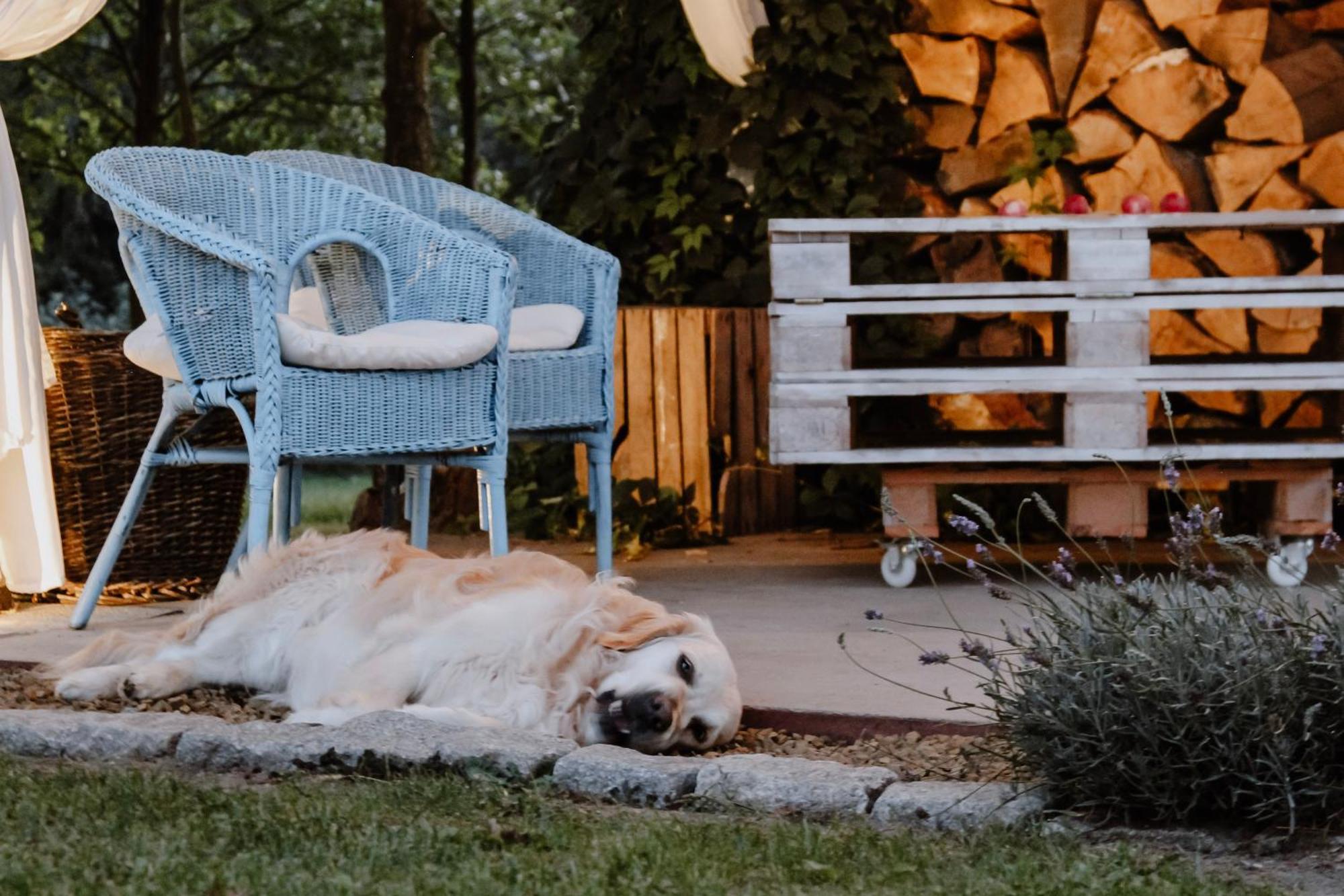 Siedlisko Nad Miedwiem Stargard Szczeciński Exterior foto