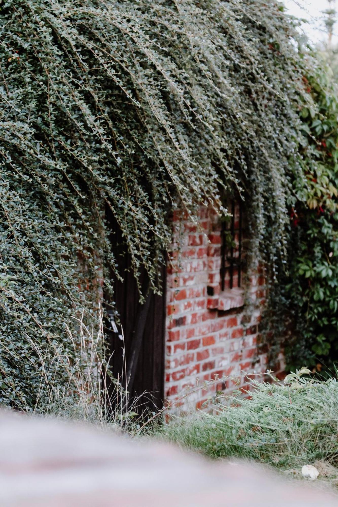 Siedlisko Nad Miedwiem Stargard Szczeciński Exterior foto